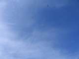 Bild 05082