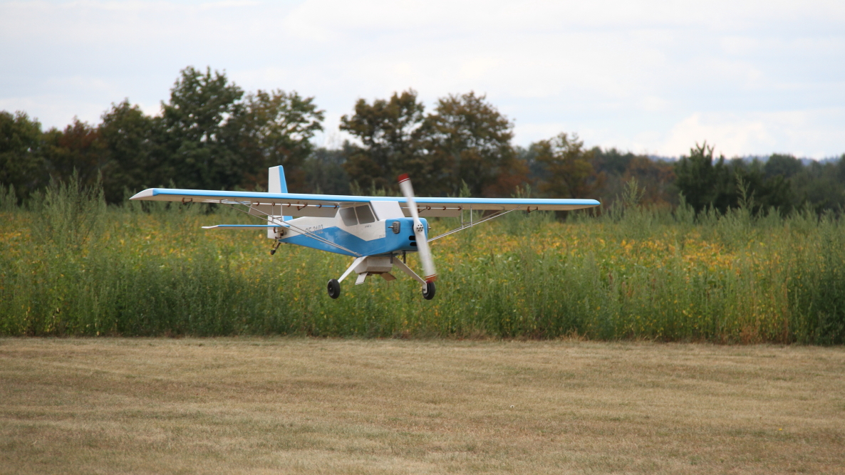 Bild299